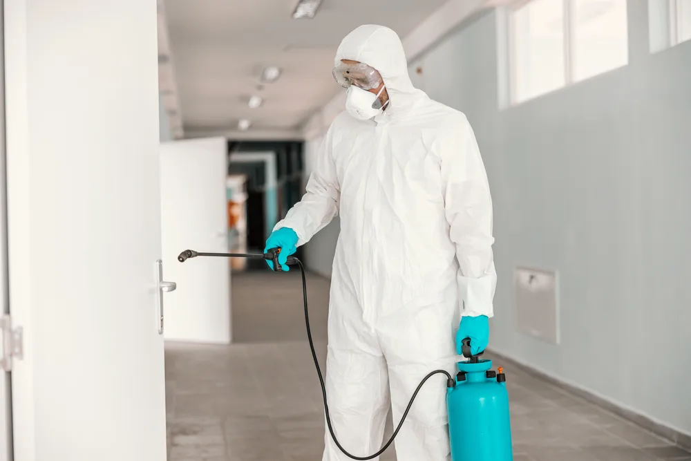 Maintain Your Cold Room | Leading Cold Room Manufacturers in uae