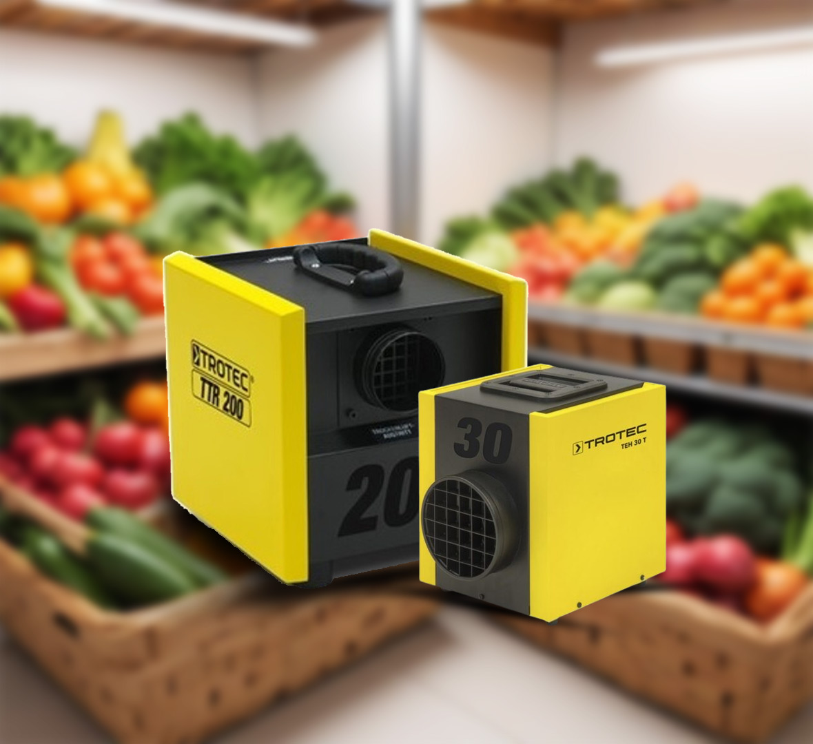 cold room dehumidifier