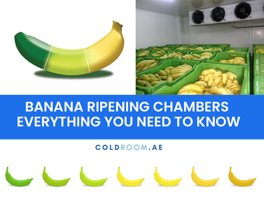 Banana Ripening Chambers