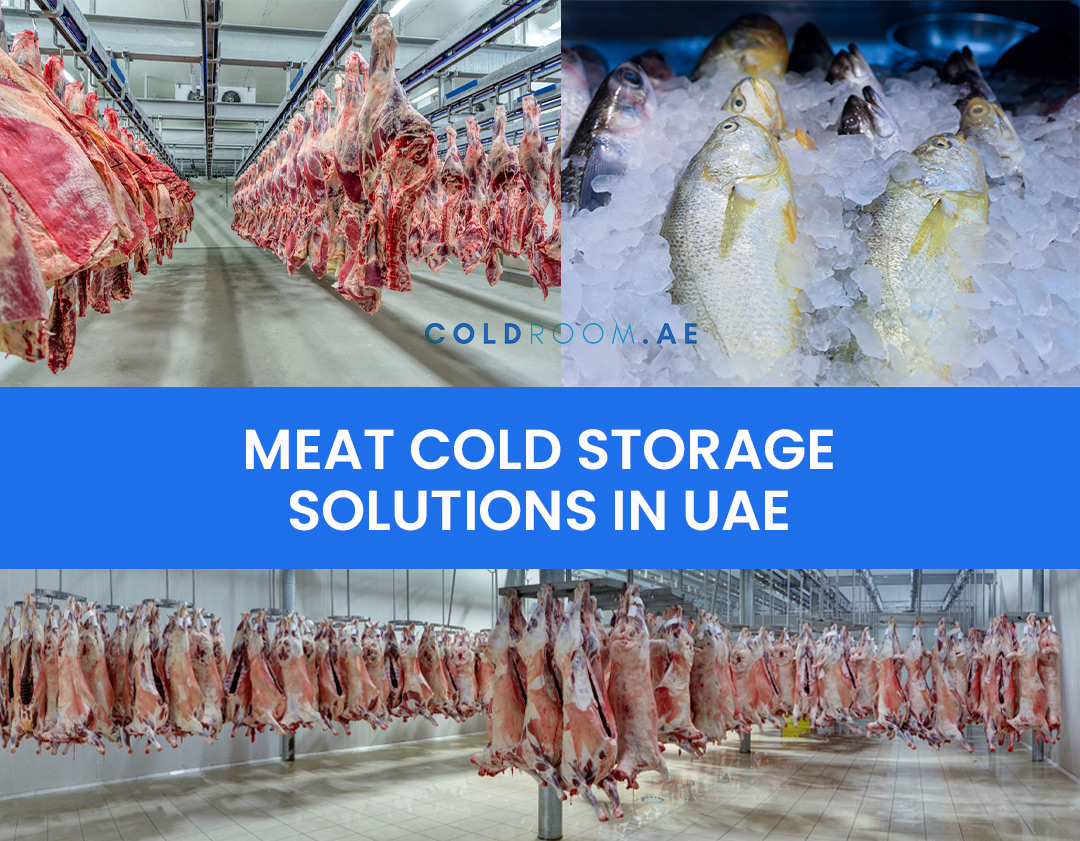 meat cold storage solutions in uae