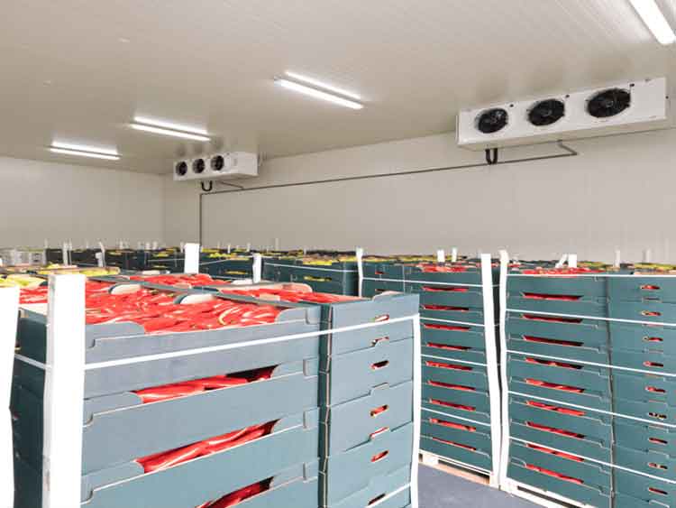 <a href="https://coldroom.ae/services/low-budget-cold-room/">Low Budget Cold Room</a>